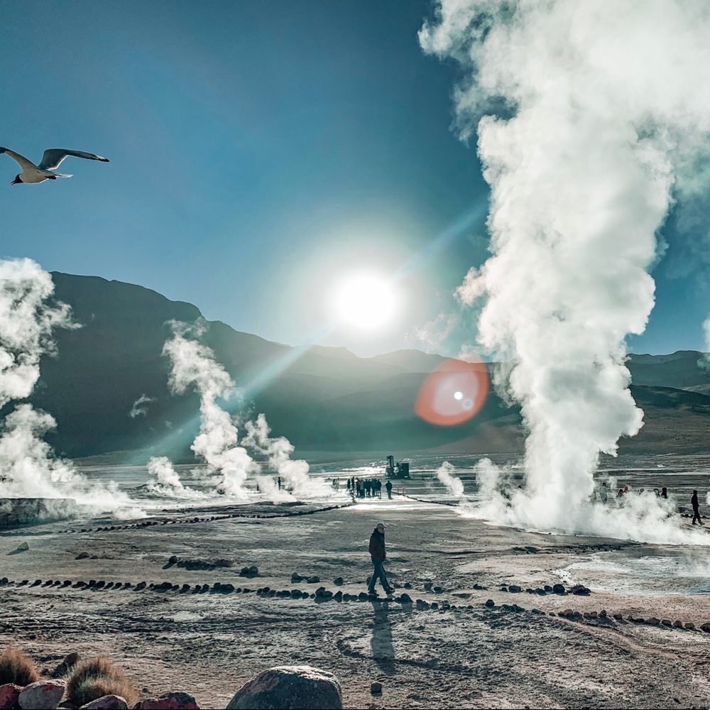 Meet your Posher, Kara